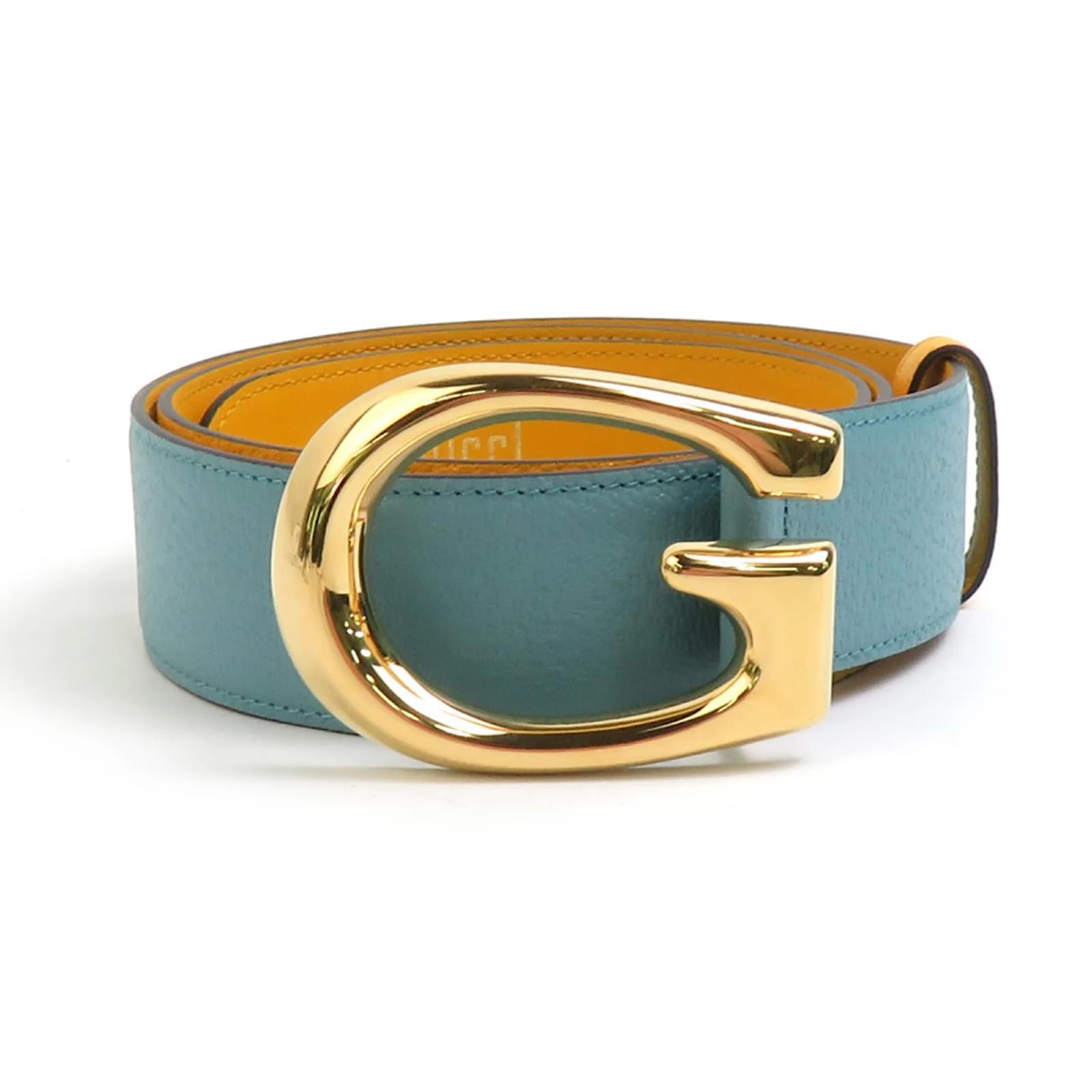 Gucci Leather Belt in Light Blue and Yellow  ref.2300768