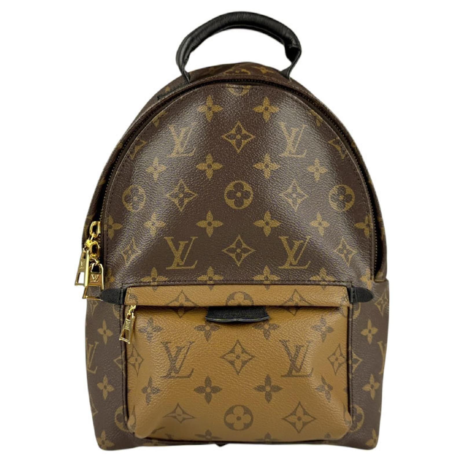 Louis Vuitton Monogram Reverse Palm Springs PM Backpack Brown Patent leather  ref.2325228