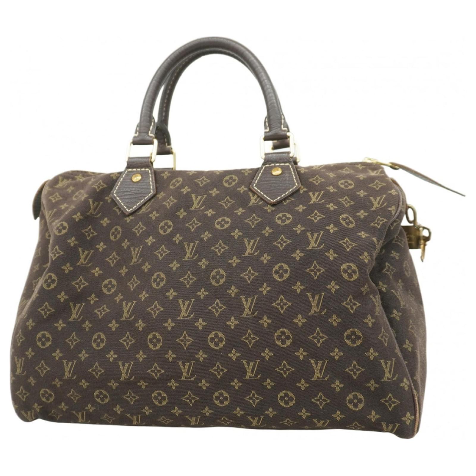 Louis Vuitton Monogram Minilan Speedy 30 Handbag Damier ebene  ref.2324544