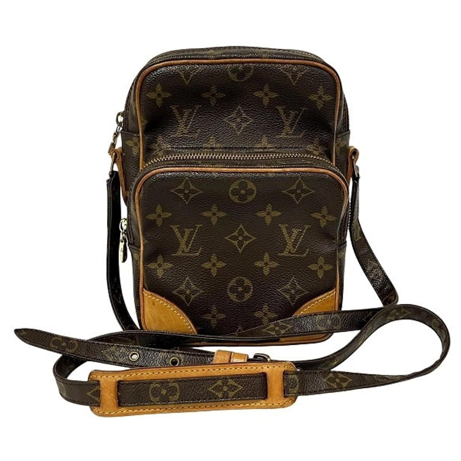 Louis Vuitton Monogram Amazon Shoulder Bag Brown Patent leather  ref.2322346