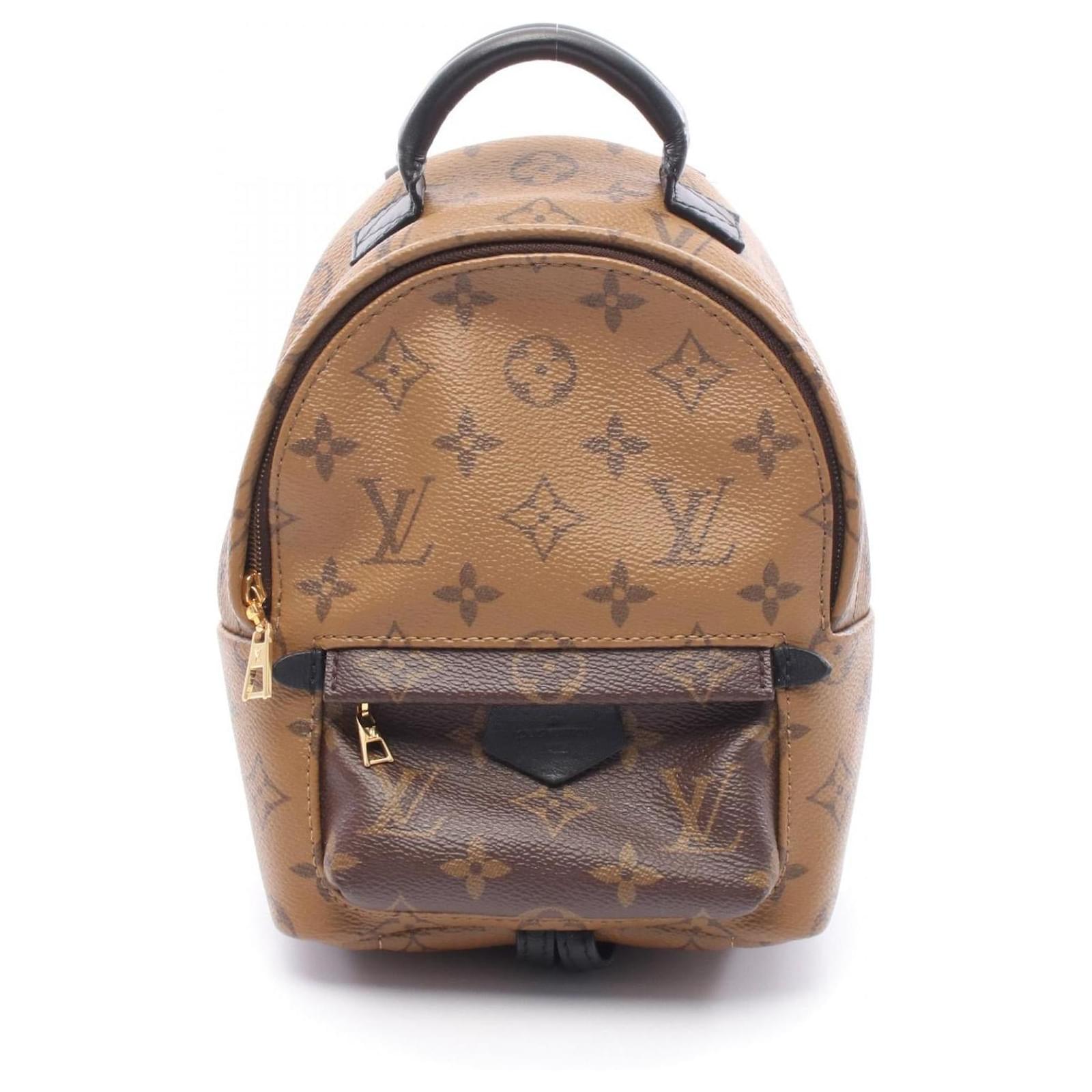 Louis Vuitton Palm Springs Backpack Mini Monogram Backpack Brown Cloth  ref.2323390
