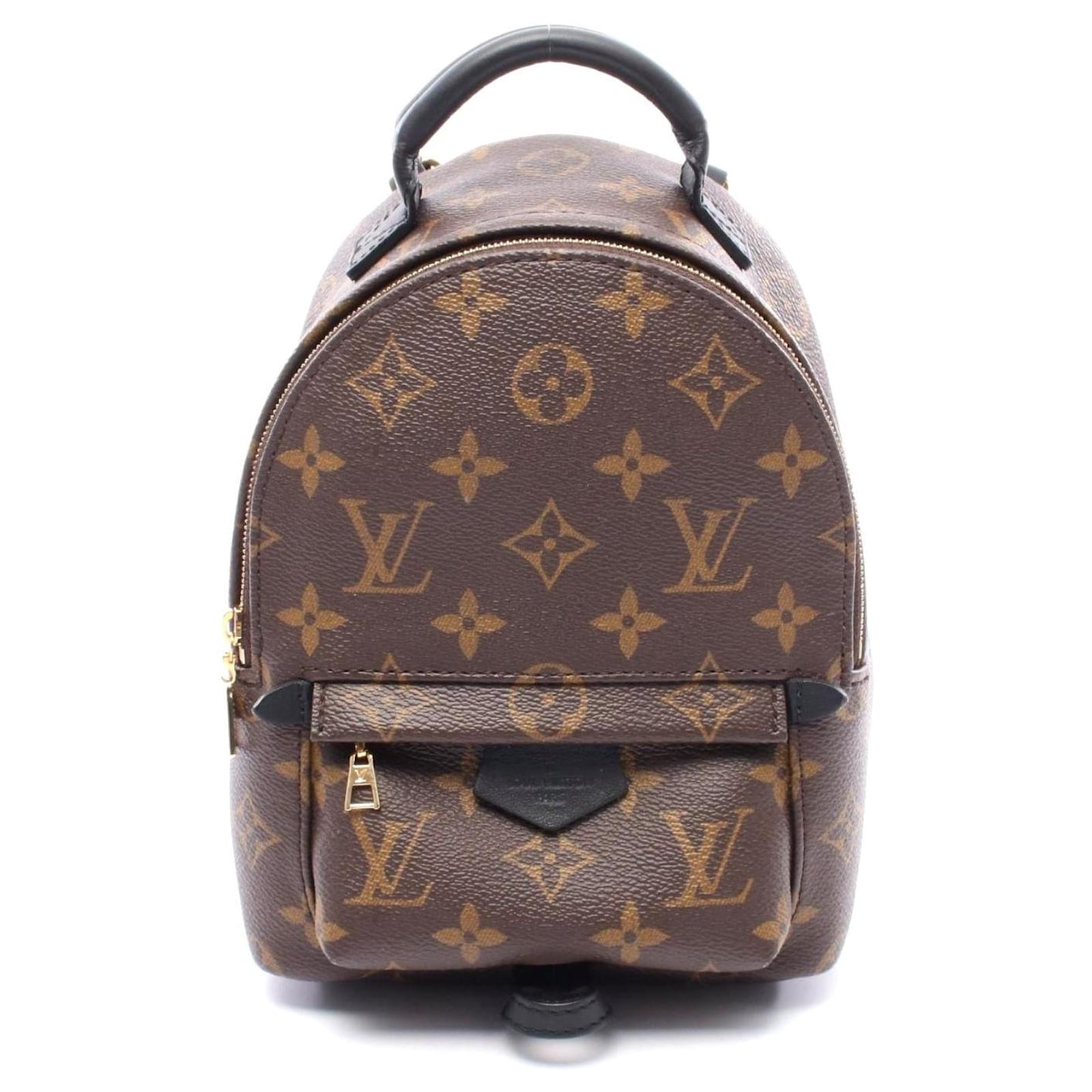 Louis Vuitton Monogram Palm Springs Mini Backpack Brown Cloth  ref.2323254